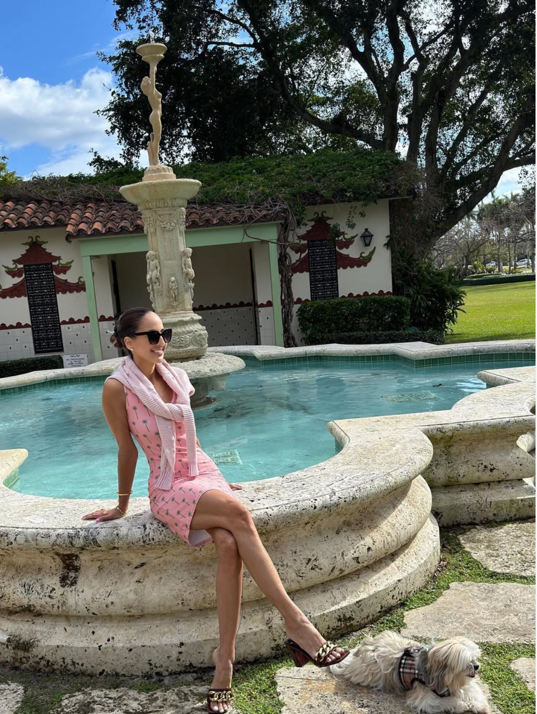 3348oh all-over print dress — Palm Beach style product photo